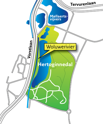 Kaart Woluwerivier in park Hertoginnedal langsheen de Vorstlaan