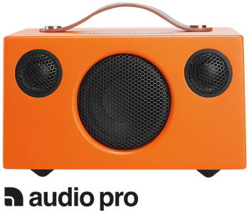 BRUZZ Open Air 2019 - audio pro speaker