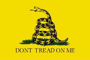 2024-07-05-Gadsden Flag