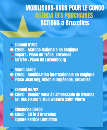 54d77e9c-protestactiescongo.png