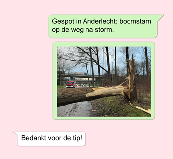 94563db7-whatsapp-tip.png