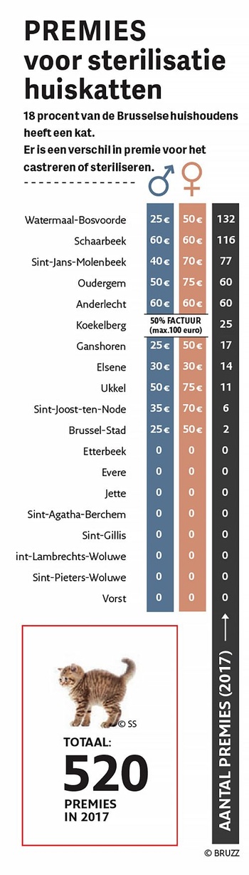 Infografiek sterilisatie huiskatten