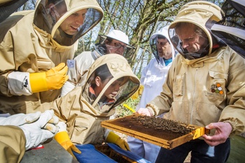 2018 Brusselse honingbij bedreigd