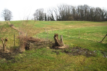 De Zavelenberg in Sint-Agatha-Berchem