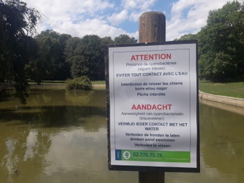 blauwalgen_boudewijnpark_waarschuwingsbord