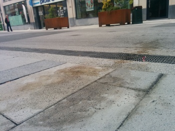 Elsensesteenweg vies