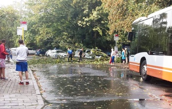 Oude weg boom onweer