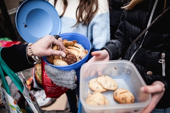 koekjes