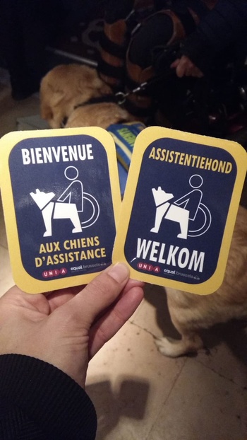 20181205_assistentiehond_stickers