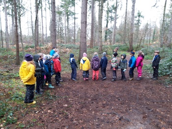 Finse scouts spelen in het Zoniënwoud