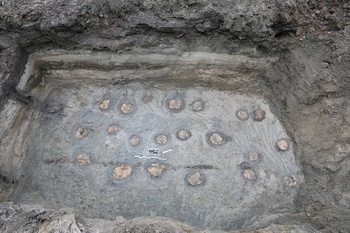 Archeologische vondsten op de site waar het nieuw administratief gebouw van de Stad Brussel (Brucity) komt.