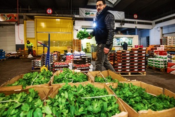 De Brusselse vroegmarkt met verse muntblaadjes, dezelfde ochtend geoogst in Marokko