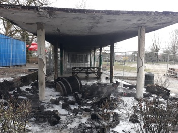 20190301_Brand in park van  Vorst