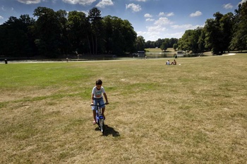 20190710_DROOGTEBRUSSEL_Photonews