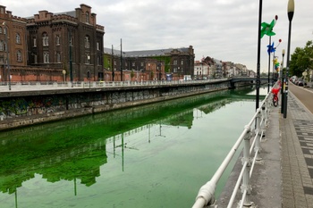 20190715_kanaal_groene_algen