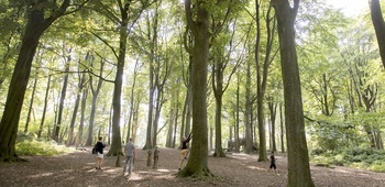 Kluisbos