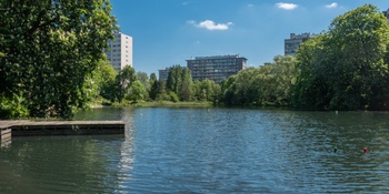 De vijver van de Koninklijke Visserij in Watermaal-Bosvoorde