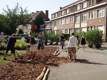 Bewoners vergroenen hun straat