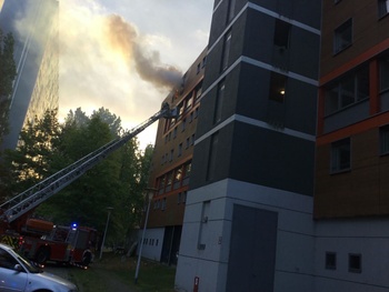 Brand Peterbos