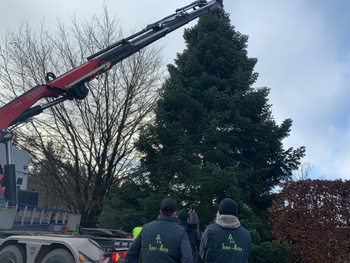 Kerstboom Grote Markt 2020