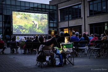 Bruxelles fait son cinéma.