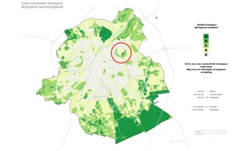 Biologische waarderingskaart_biodiversiteitskaart_Josaphatfriche