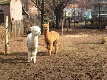 kinderboerderij Maximiliaanpark