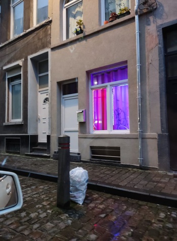 plantenstraat_fluolicht_paars.jpg