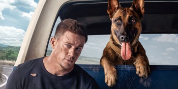 dog-channing-tatum