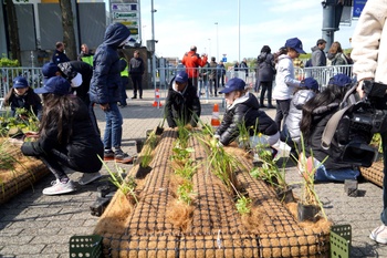 groene vlotten kanaal leerlingen kinderen arc-en-ciel-school