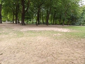 20220722_GRASPERKEN JUBELPARK