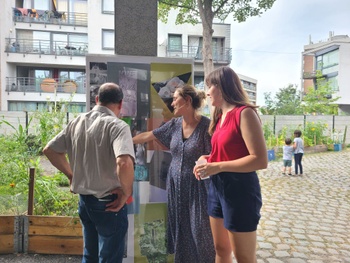 Vierwindentuin molenbeek 12 07 2022.jpg