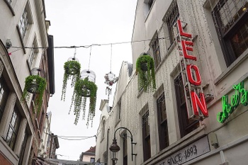 Het project "Hangende tuinen" in de Ilôt Sacré, op initiatief van schepen Fabian Maingain, hier aan Chez Léon in de Beenhouwerstraat