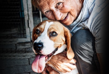 Een vrijwilligster bij dierenasiel Veeweyde in Anderlecht geeft een hond aandacht en liefde