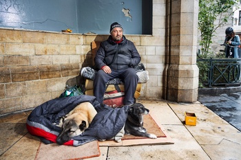 Botik (links) en Lola, honden van vzw Straatverplegers beschermen de dakloze Nicula en zorgen voor contact met voorbijgangers