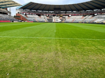 De grasmat van het Koning Boudewijnstadion, woensdag 15 november