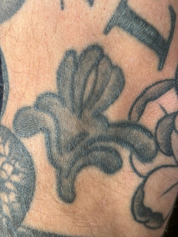 Tattoo iris 