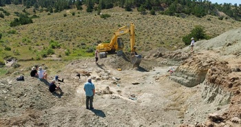 240809_Wyoming_opgravingen Koninklijk Belgisch Instituut voor Natuurwetenschappen_paleontologie