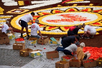 180816_bloementapijt Grote Markt_vrijwilligers leggen bloemen klaar