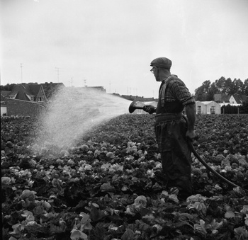 Bloemenboer in Neder-Over-Heembeek