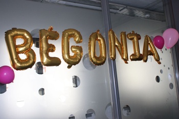 190425 Begonia