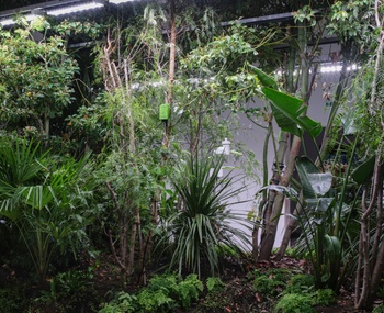 16_Building Biospheres by Bureau Bas Smets with Stefano Mancuso, Flanders Architecture Institute 2025 © Michiel De Cleene