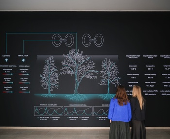 Building Biospheres by Bureau Bas Smets with Stefano Mancuso, Flanders Architecture Institute 2025