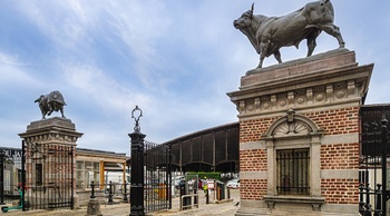 98cbfa1d-abattoir.jpg
