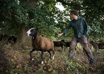 BRZ_20251022_1953_Schapen_wol_7_(c)_Sarah Van Looy.jpg