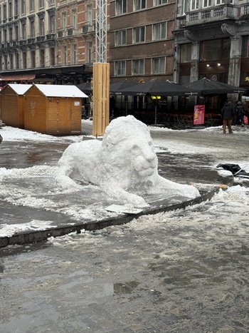 070125 Sneeuwleeuw Brusselse Beurs 