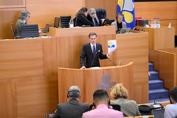 Gilles Verstraeten (N-VA)