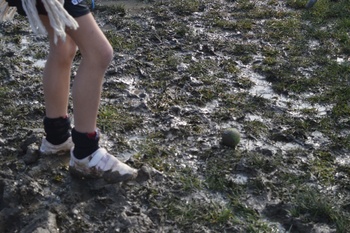 Scholenveldloop_20260207