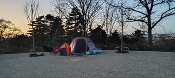 ParkVorstDakloze_20260226