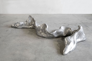 'Search Climb Hide Wave Snake Snitch' van Rossella Biscotti, laureaat BelgianArtPrize 2027